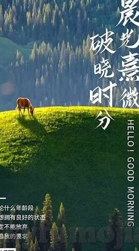 麻豆天美传媒视频-深入洞察，麻豆天美传媒视频与当代文化交融